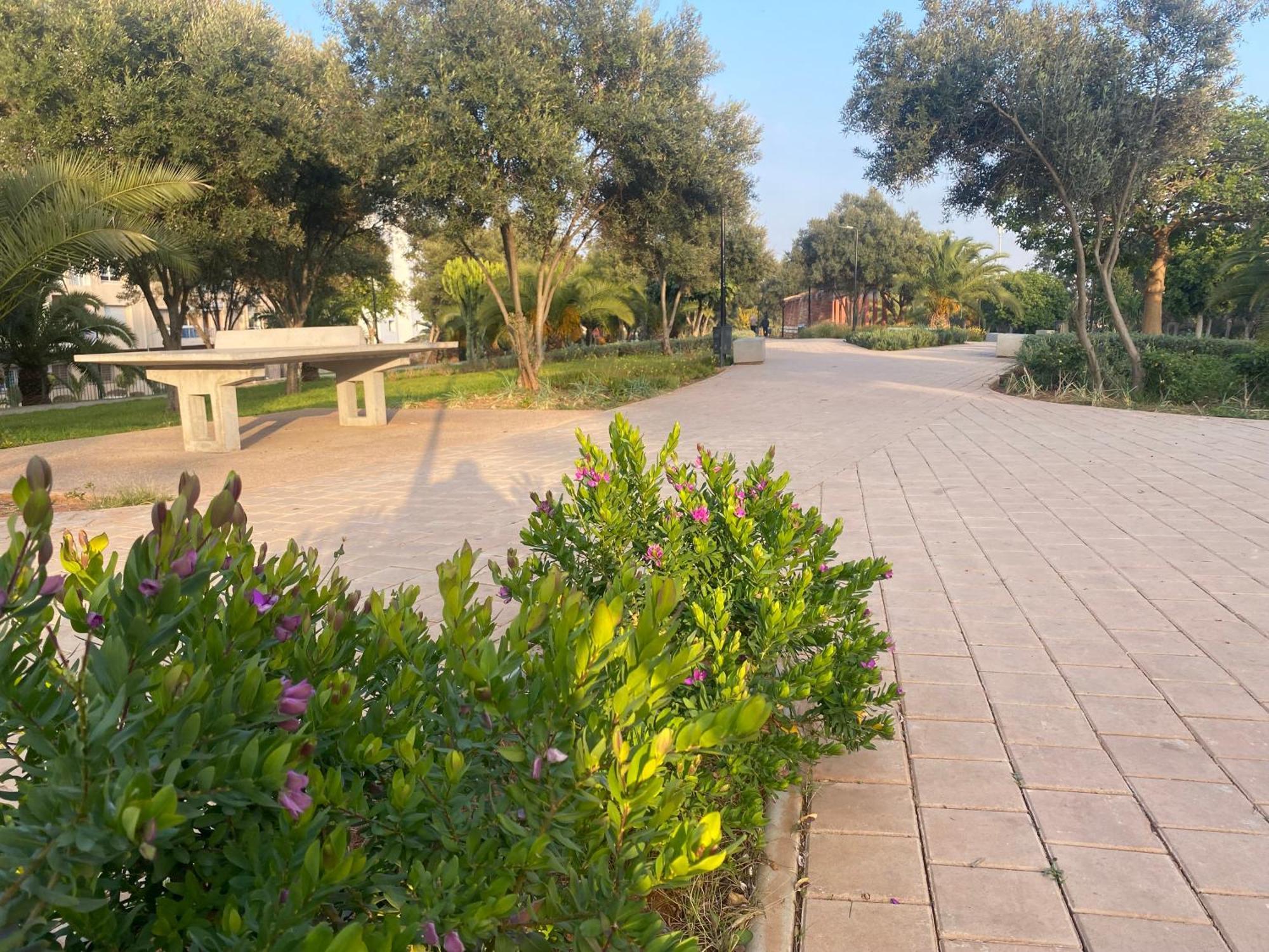 קזבלנקה Cosy Greeny 3 Bdr - Downtown Near Oasis Train And Tramway מראה חיצוני תמונה